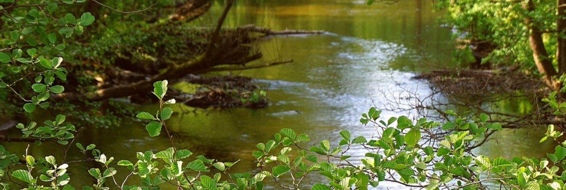 Rivières & milieux aquatiques (GEMAPI)